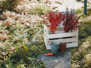 gadners-gift-composts